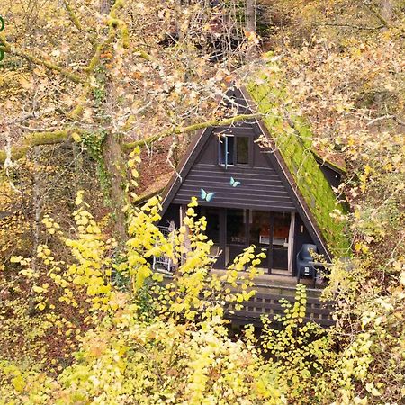 Durbuy Bungalow 194, Calme Et Nature Eksteriør bilde
